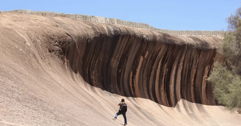 Wave Rock Scenic Flight & Ground Tour