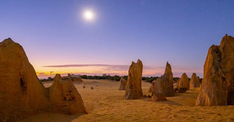 Pinnacles Sunset and Stargazing Tour with Dinner